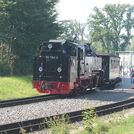 Xxl Inselpark Mit Fruhstucksangebot Wiek auf Ruegen
