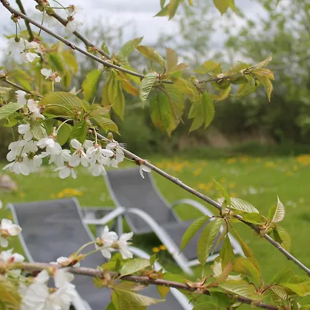 Holiday home Xxl Inselpark Mit Fruhstucksangebot